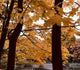 7 Ideas for Hosting a Fall Kickoff for Women's Ministry