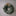 Christmas wreath made of blue spruce branches