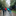 Several people walking on a rain wetted path with strewn leaves wearing rain jackets