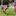 Young child doing the limbo in a grassy field 