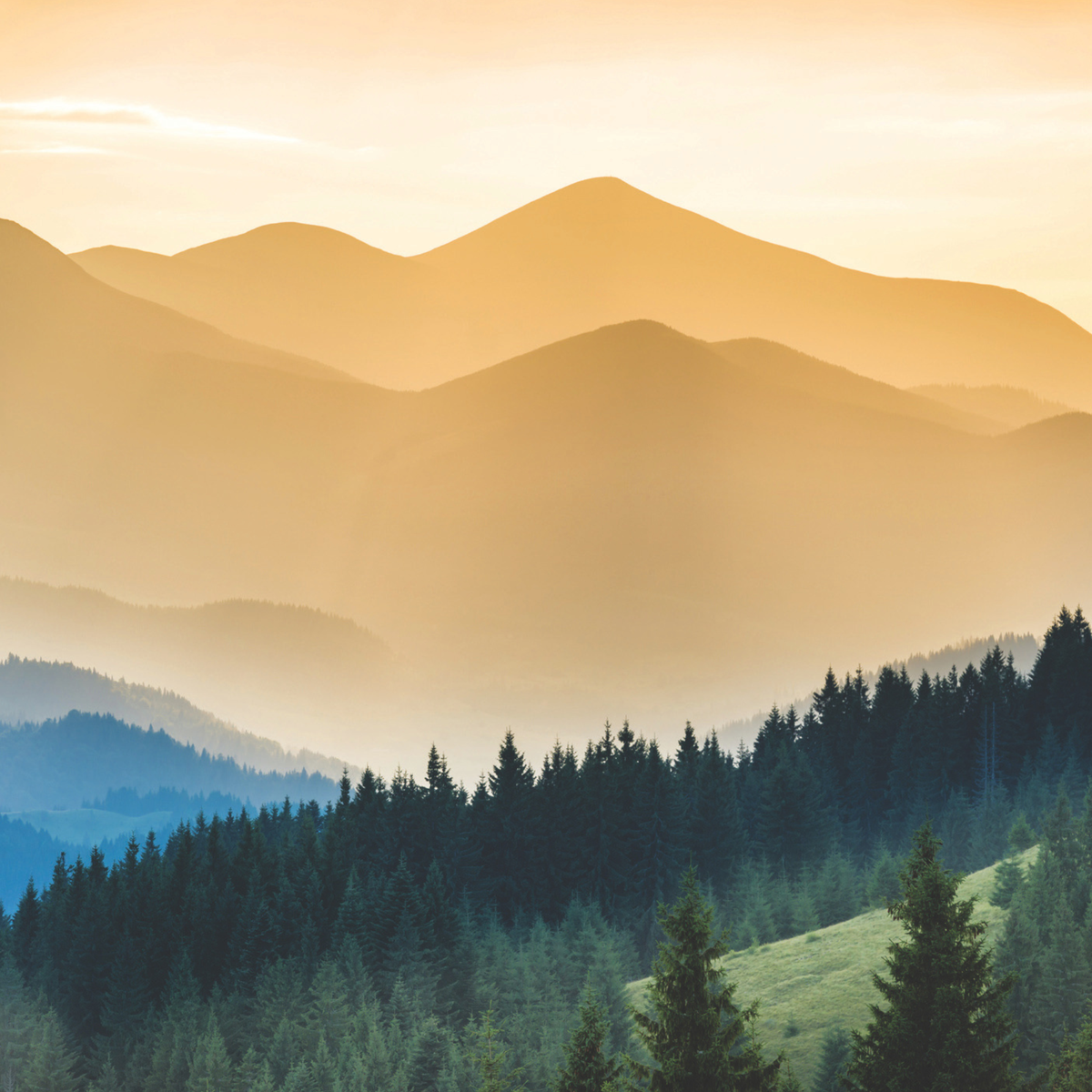 THEME. A Simple Amen Mountains