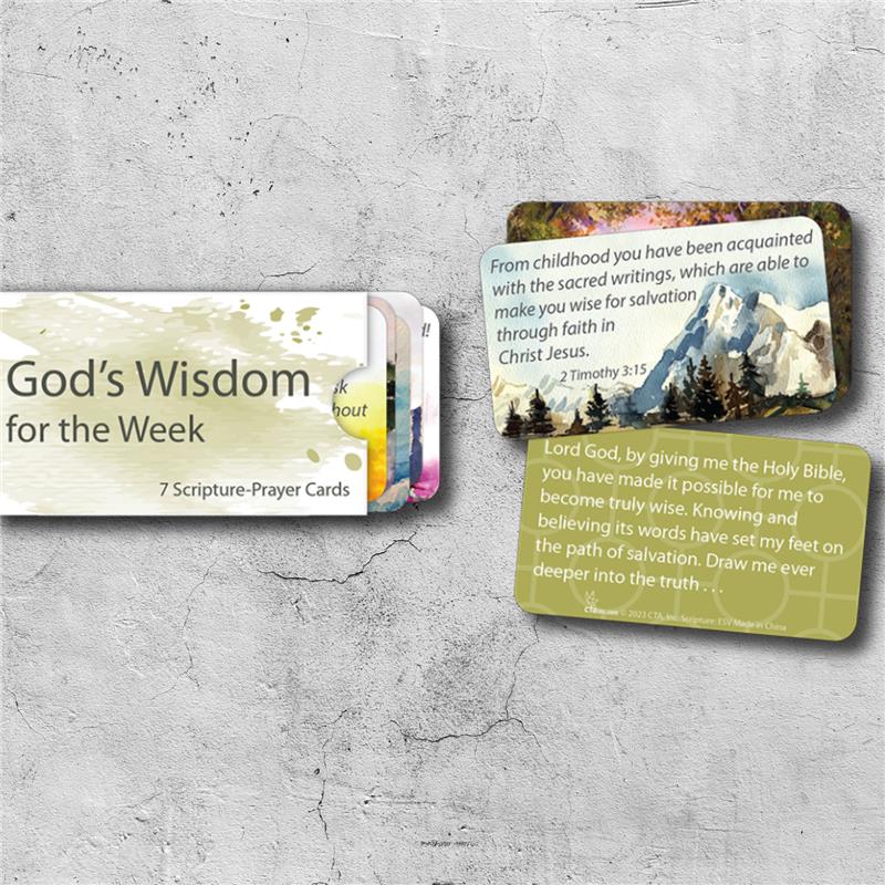 7 Scripture Prayer Cards in Sleeve - God's Wisdom