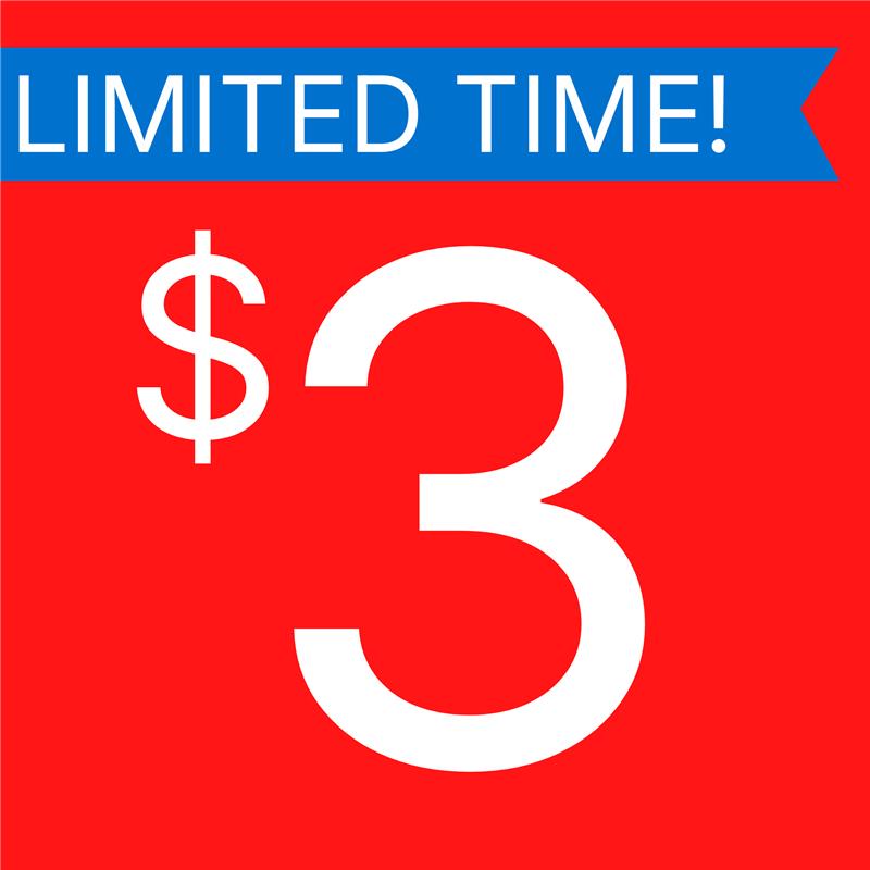 Wooden Ornament - Nativity