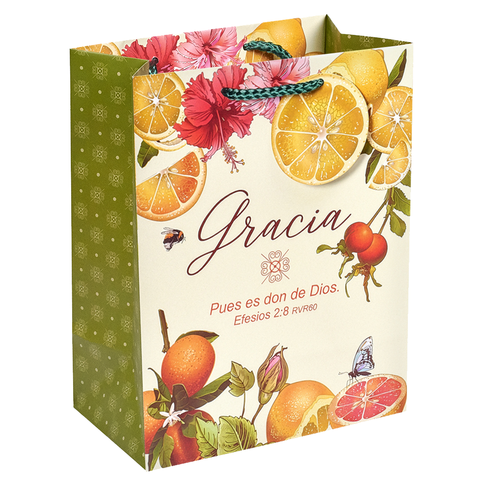 A decorative paper gift bag with a Spanish religious message, decorated with illustrations of citrus fruits, flowers, berries, and a butterfly. The bag features a green patterned side panel, a cream-colored front panel with the text 'Gracia' and 'Pues es don de Dios', and a green rope handle by CTA Christ to All & CTA Gifts.