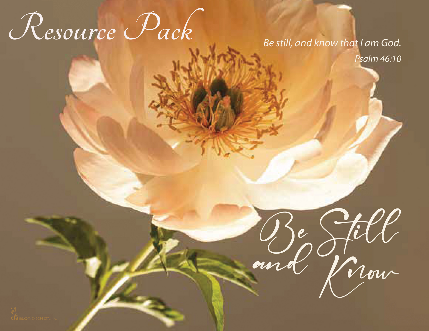 Be Still and Know downloadable resource pack for Christian women's ministry