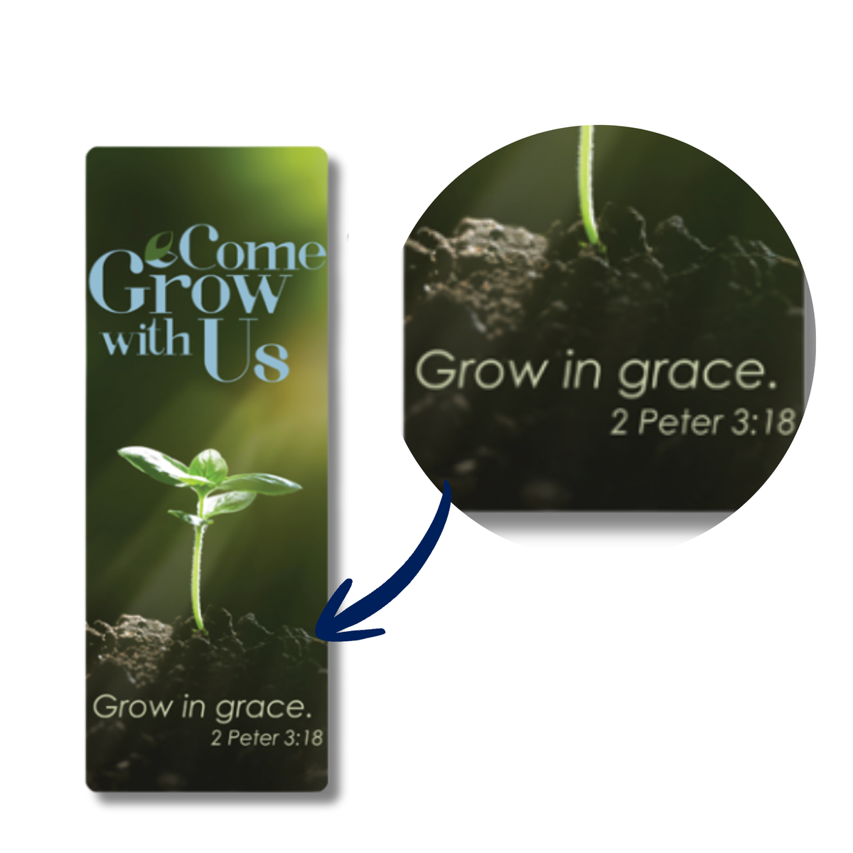 Plantable Seed Cross & Jumbo Bookmark Gift Set - KJV - Come Grow with Us