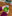 Building Blocks - Jumbo Gospel Easter Eggs®