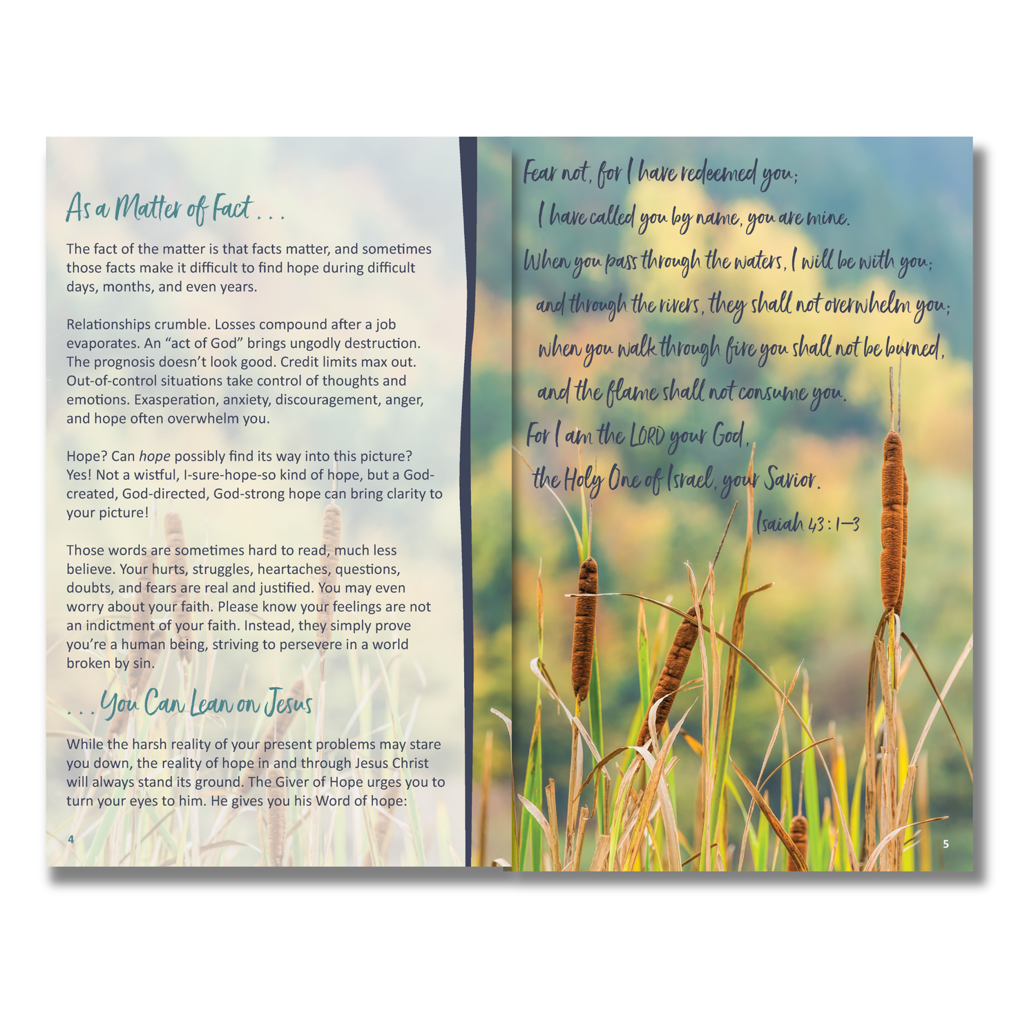 64-Page Full-Color Book:  Facing Difficult Days with Hope, Leaning on Jesus