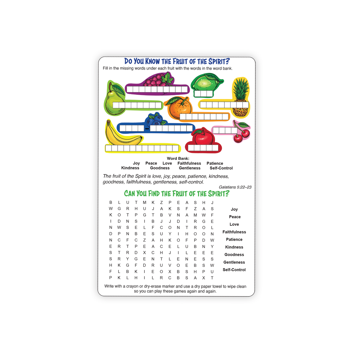 Dry Erase 2-Sided Reusable Faith Foundation Education Cards - Bible Skills I