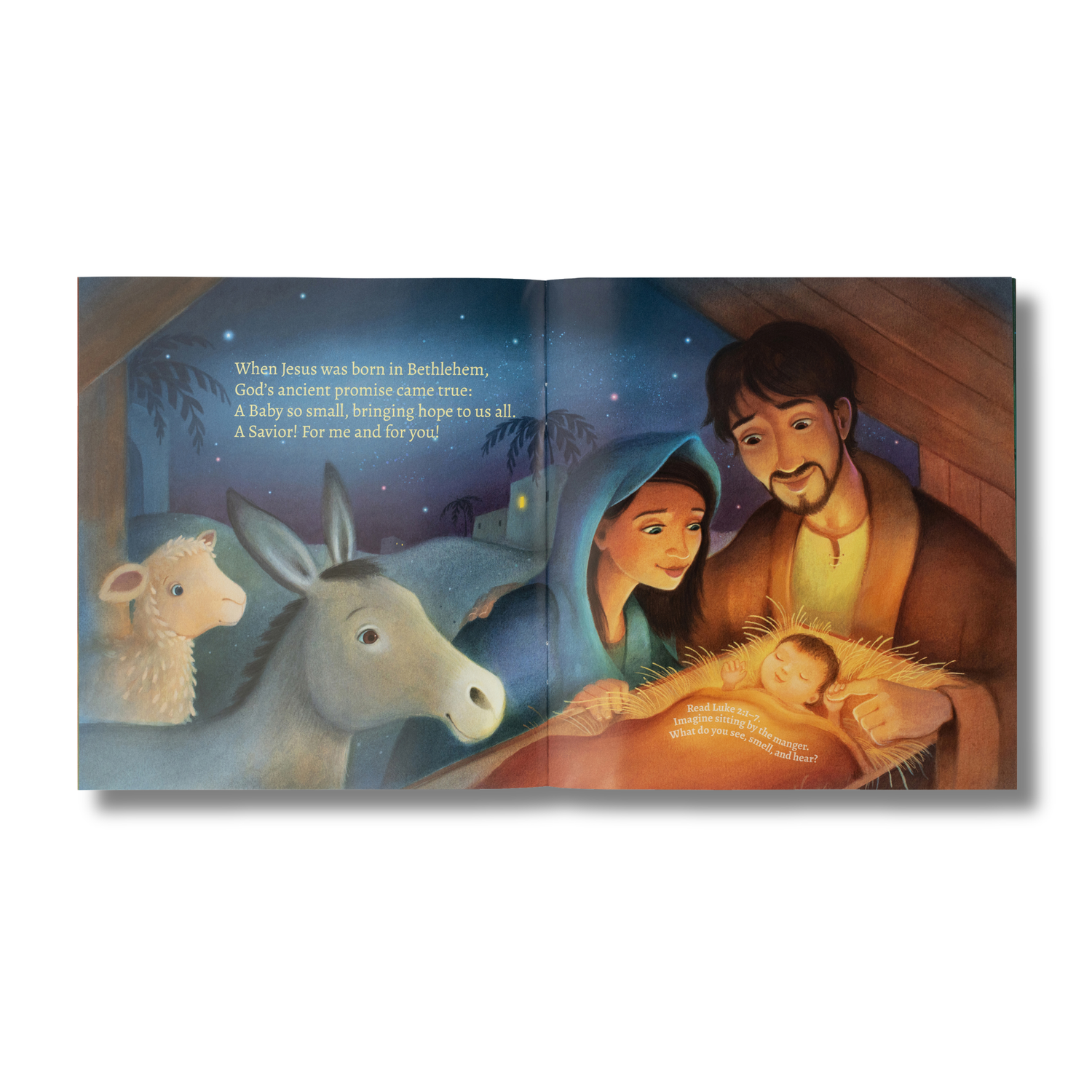 16-Page Children's Softcover Story Book for Preschoolers - KJV - When Jesus Was Born