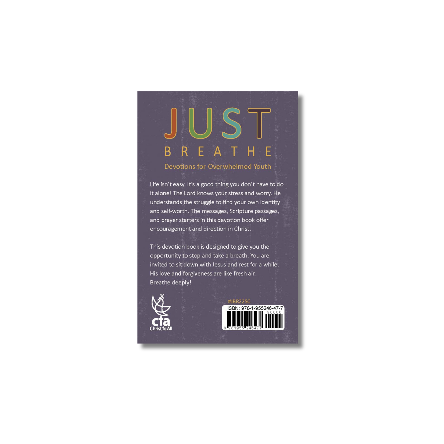 Pocket-Sized Biblical Teen Reference Booklet: Just Breathe.