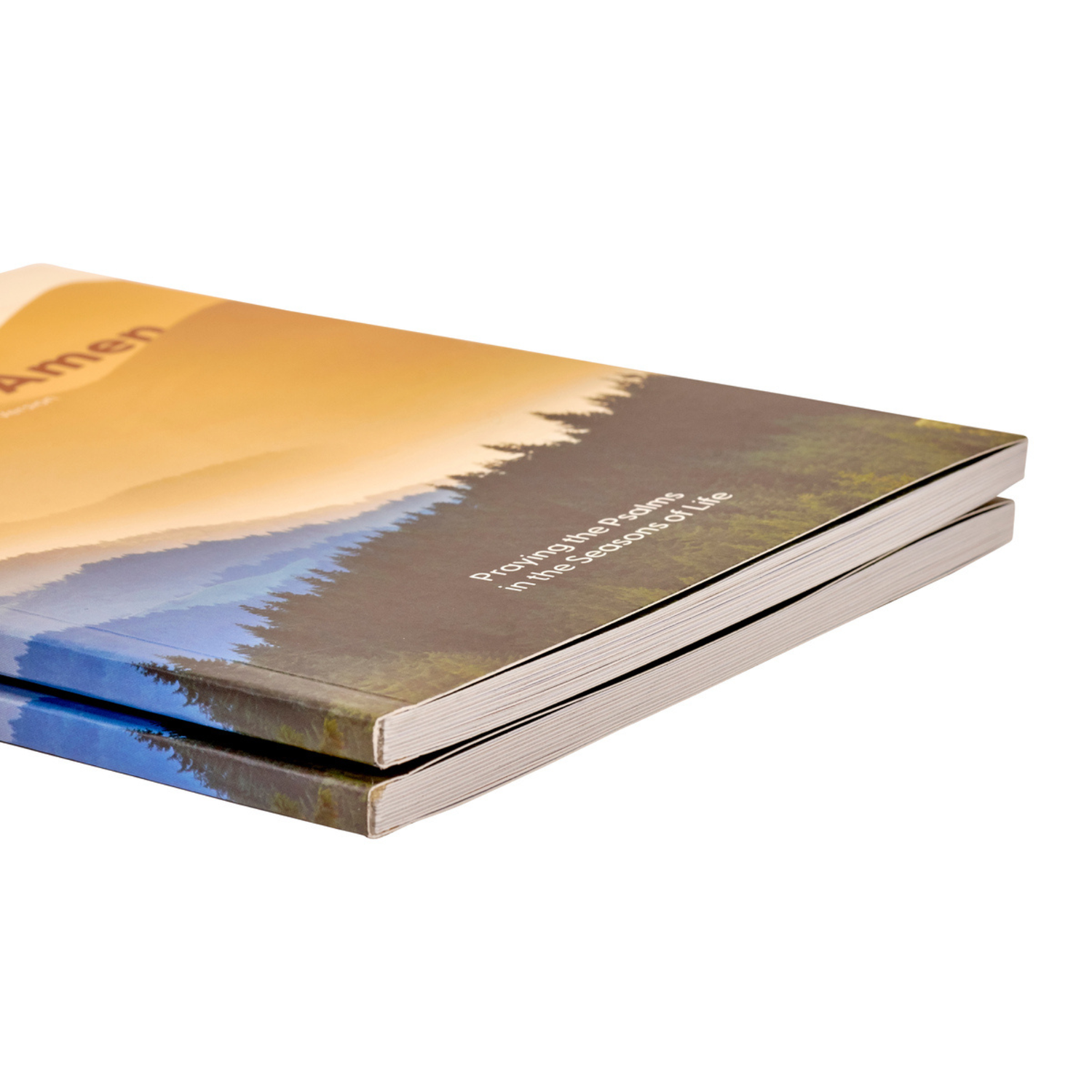 WRAPPED & READY® 64-Page Devotion Book & Pen Gift Set - A Simple Amen Mountains