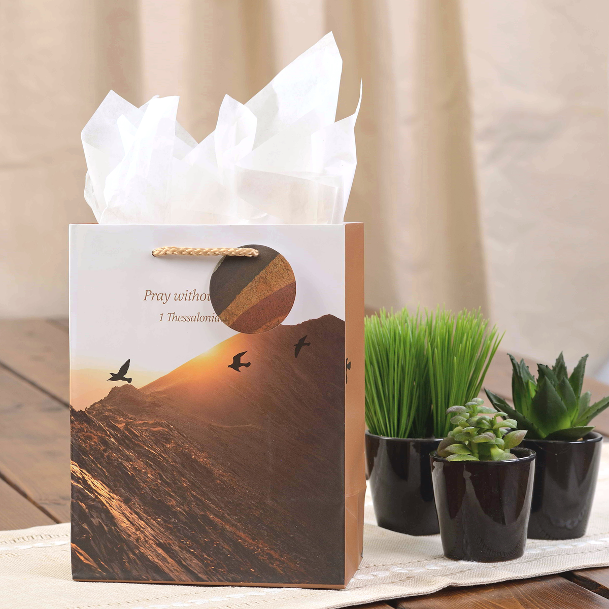A kraft paper gift bag with a printed mountain sunset design and white tissue paper at the top, styled on a tabletop with small potted succulents and grass in the background by CTA Christ to All and CTA Gifts.