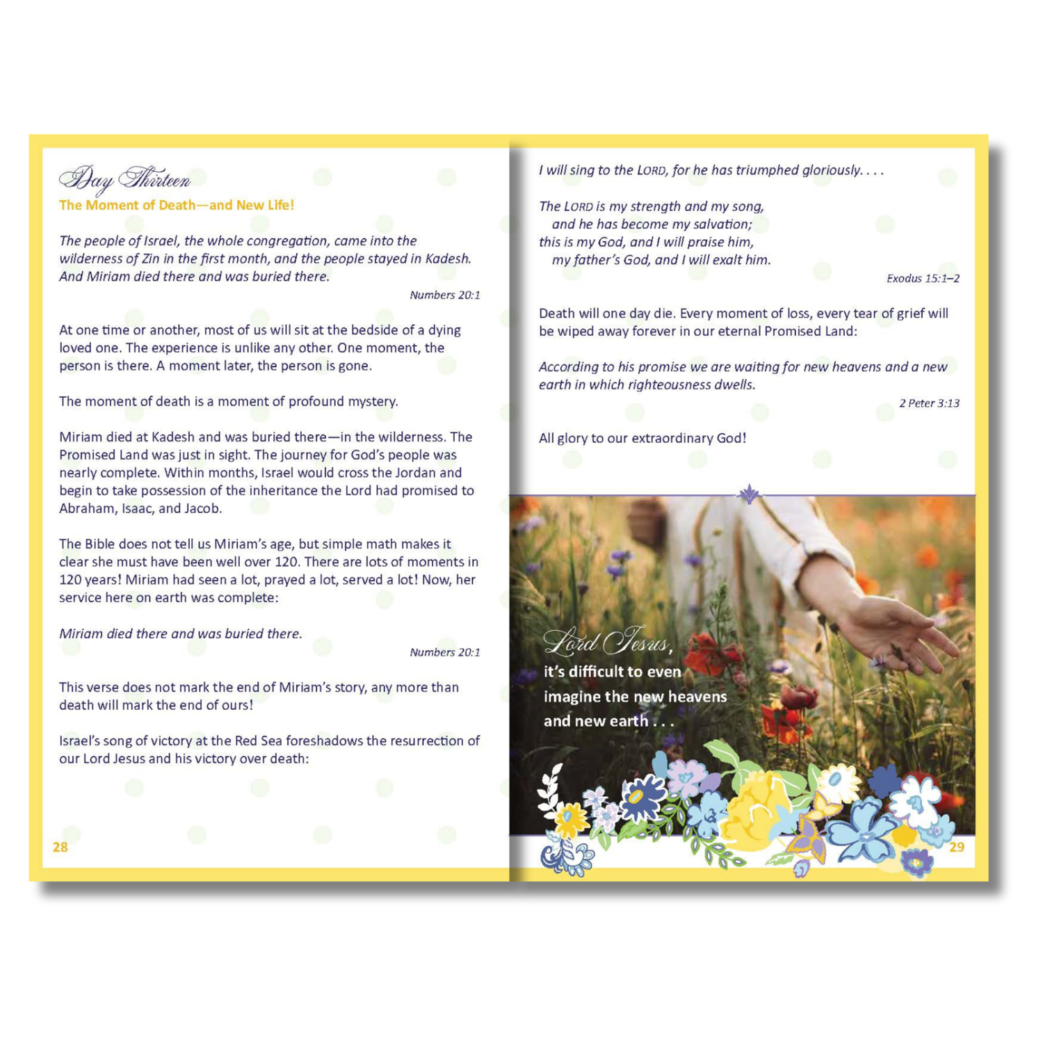 Devotion Book - Ordinary Moments. Extraordinary God.