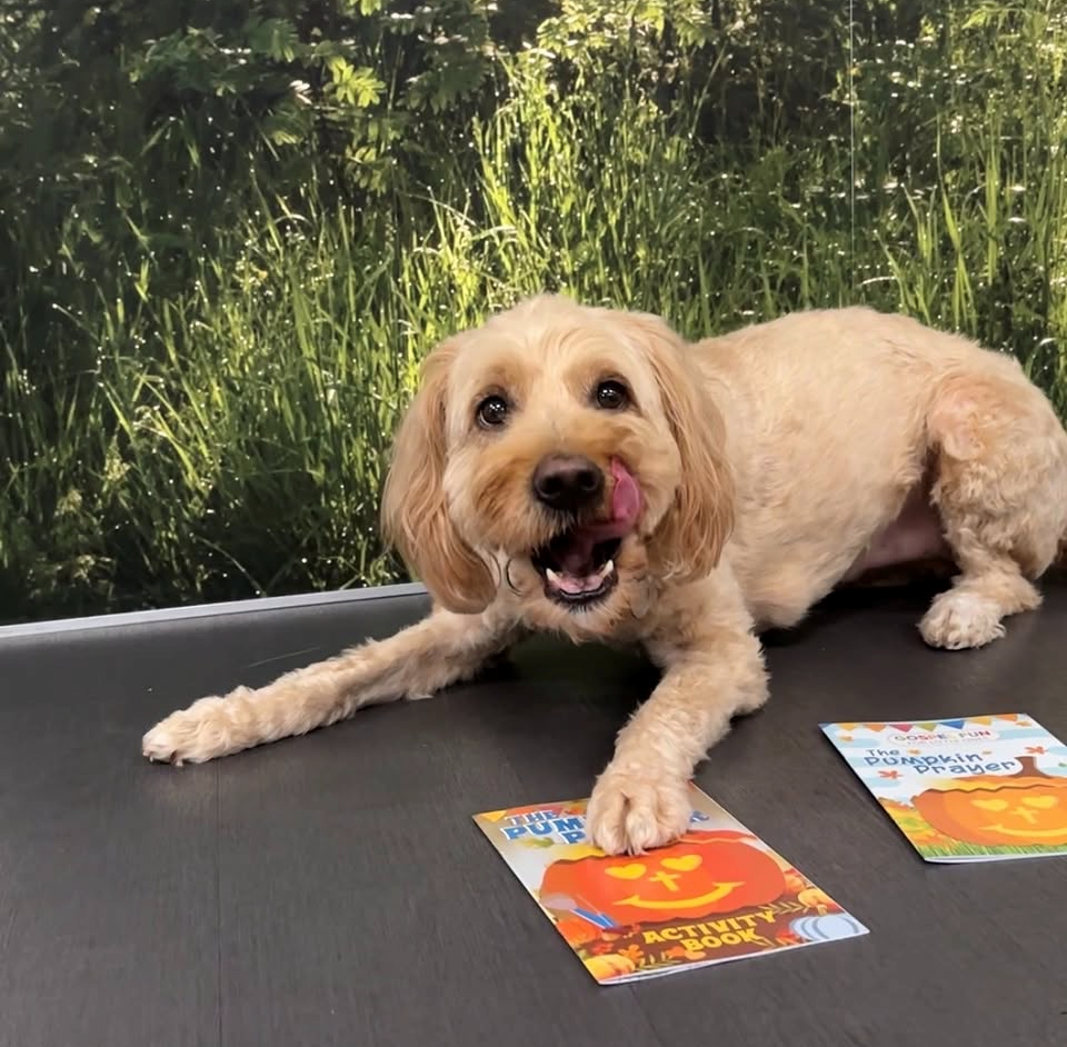 Light-colored dog lying on a table with one paw resting on a pumpkin-themed activity book and another pumpkin prayer booklet nearby. The dog is licking its nose, with a grassy outdoor scene in the background by CTA Christ to All and CTAKids.