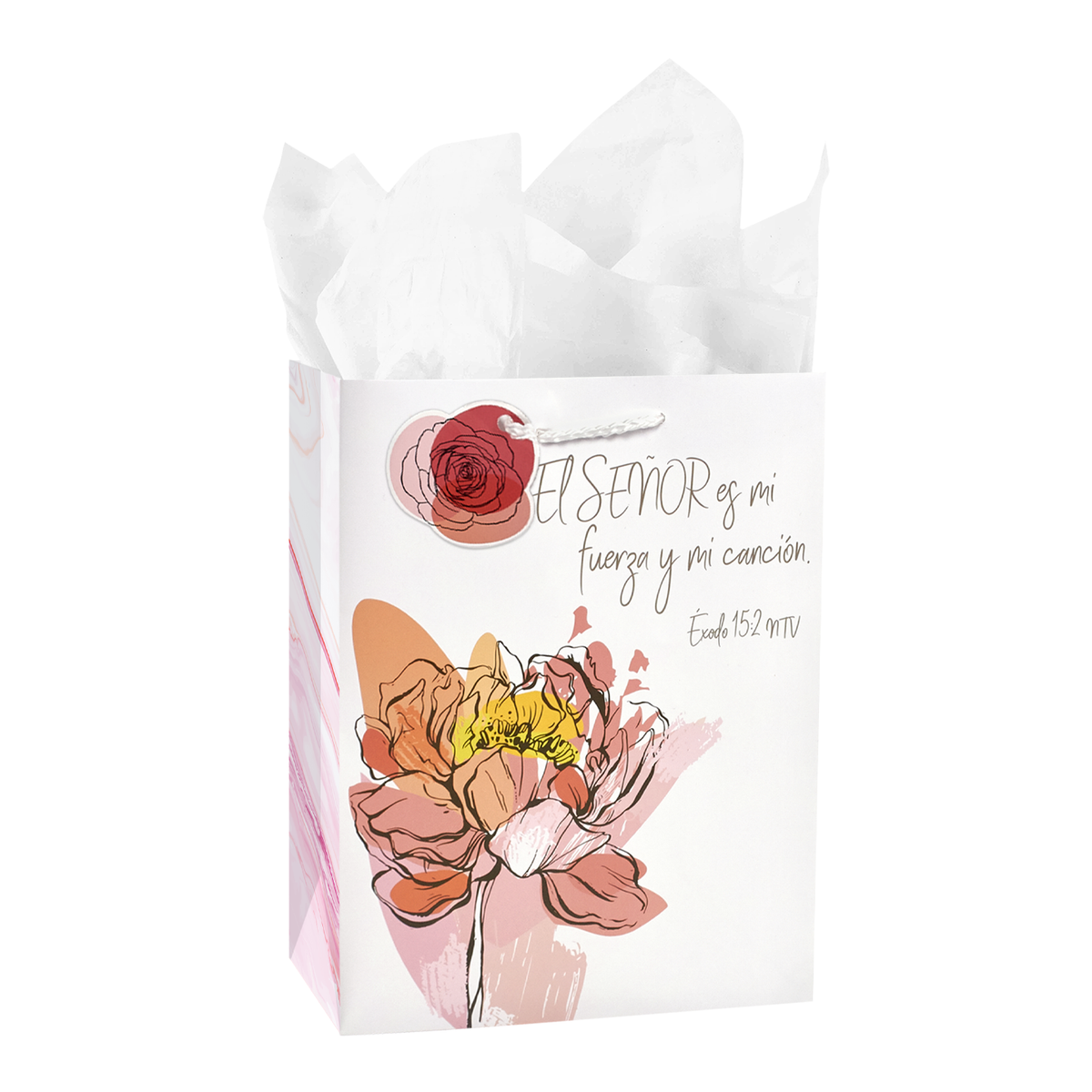 The image features a promotional view of a gift bag by CTA Christ to All & CTA Gifts.