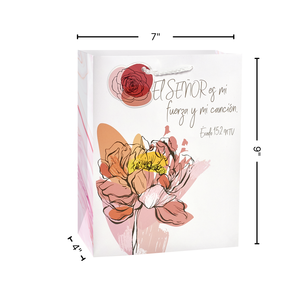 The image features a promotional view of a gift bag by CTA Christ to All and CTA Gifts.