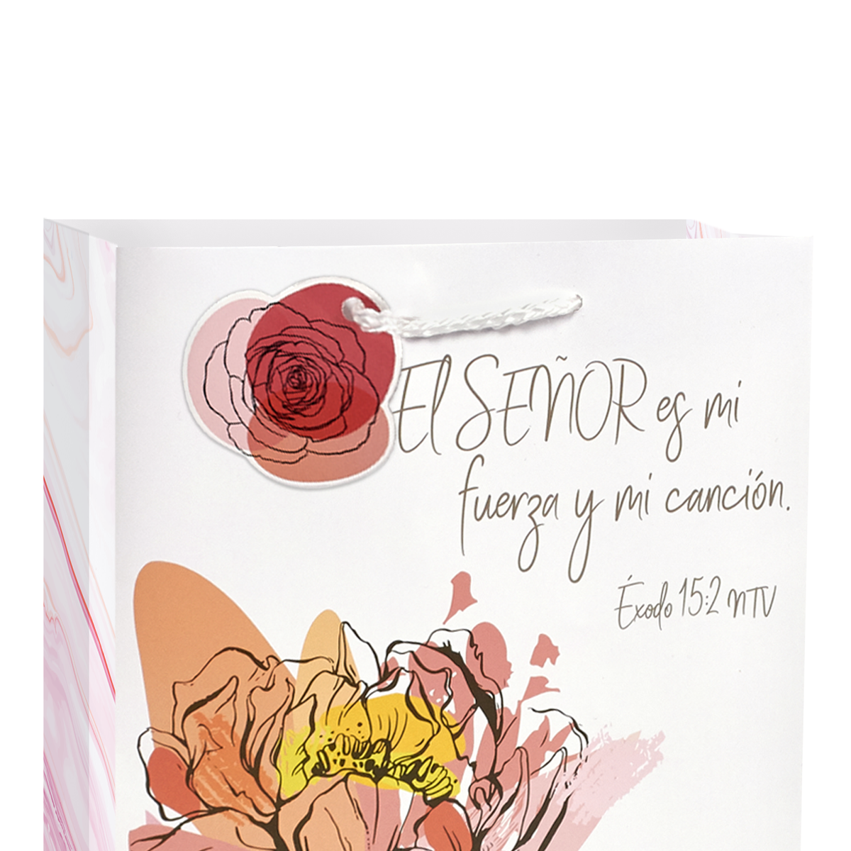 The image features a promotional view of a gift bag by CTA Christ to All and CTA Gifts.