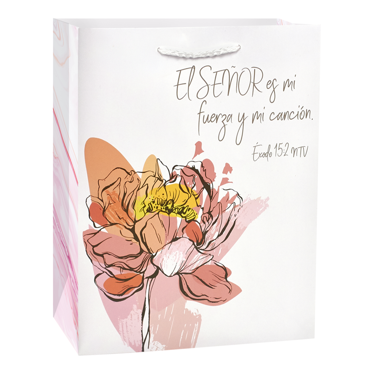 The image features a promotional view of a gift bag by CTA Christ to All and CTA Gifts.