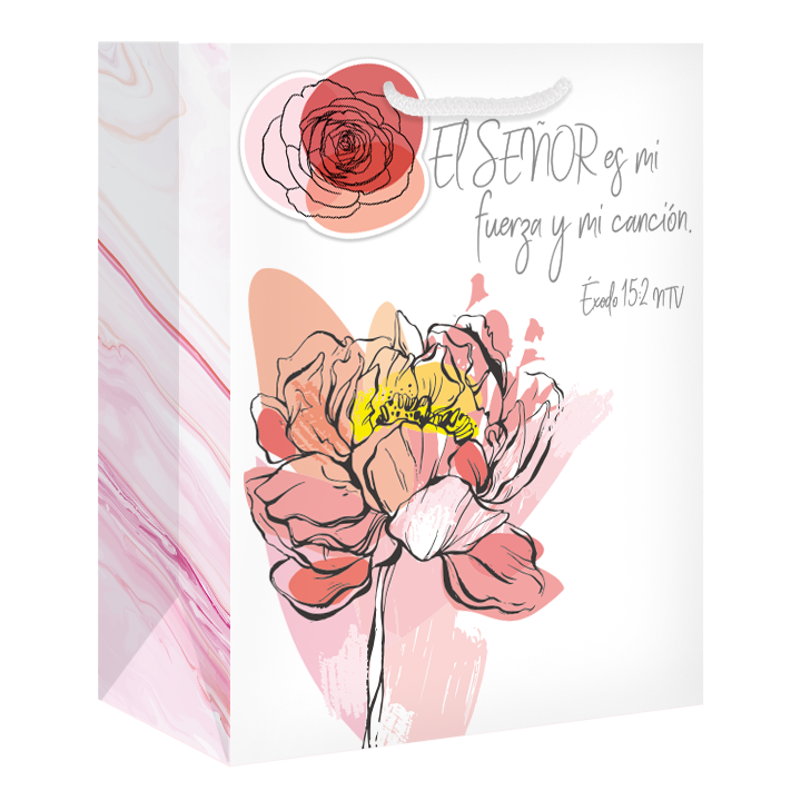 The image features a promotional view of a gift bag by CTA Christ to All & CTA Gifts.