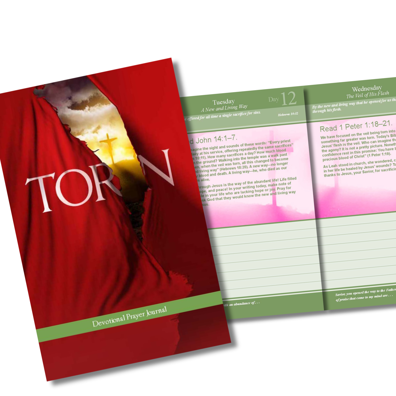 Prayer Journal - Torn