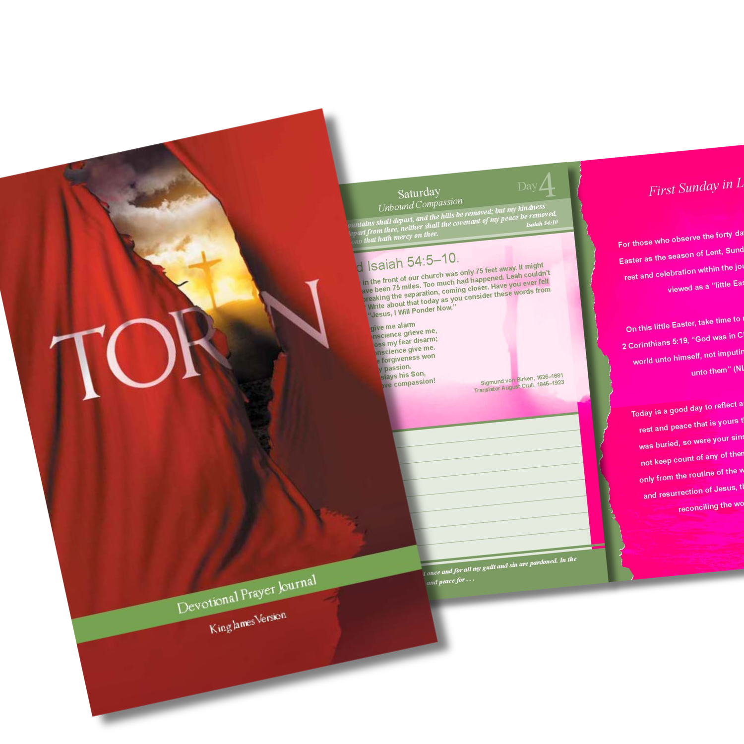 KJV Prayer Journal - Torn