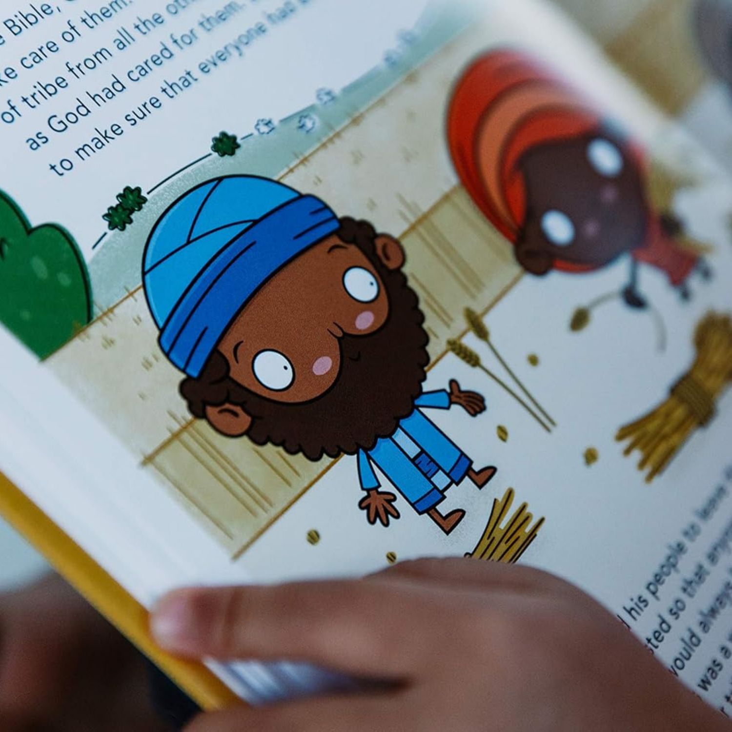 Tiny Truths Wonder & Wisdom Book - Everyday Reminders from Psalms and Proverbs