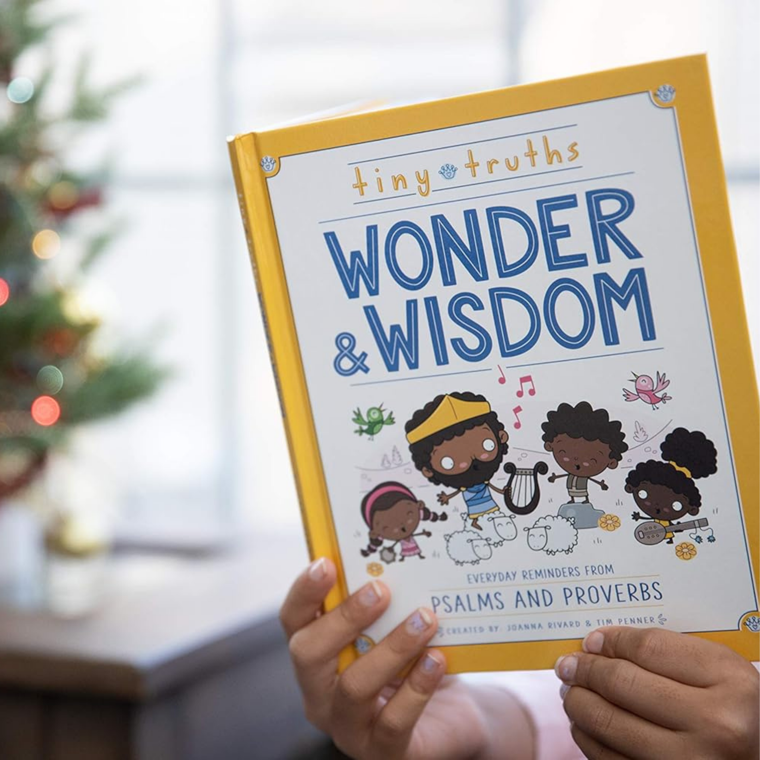 Tiny Truths Wonder & Wisdom Book - Everyday Reminders from Psalms and Proverbs
