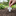 Thank You for Planting Seeds of Faith Bookmark with Plantable Seed Cross