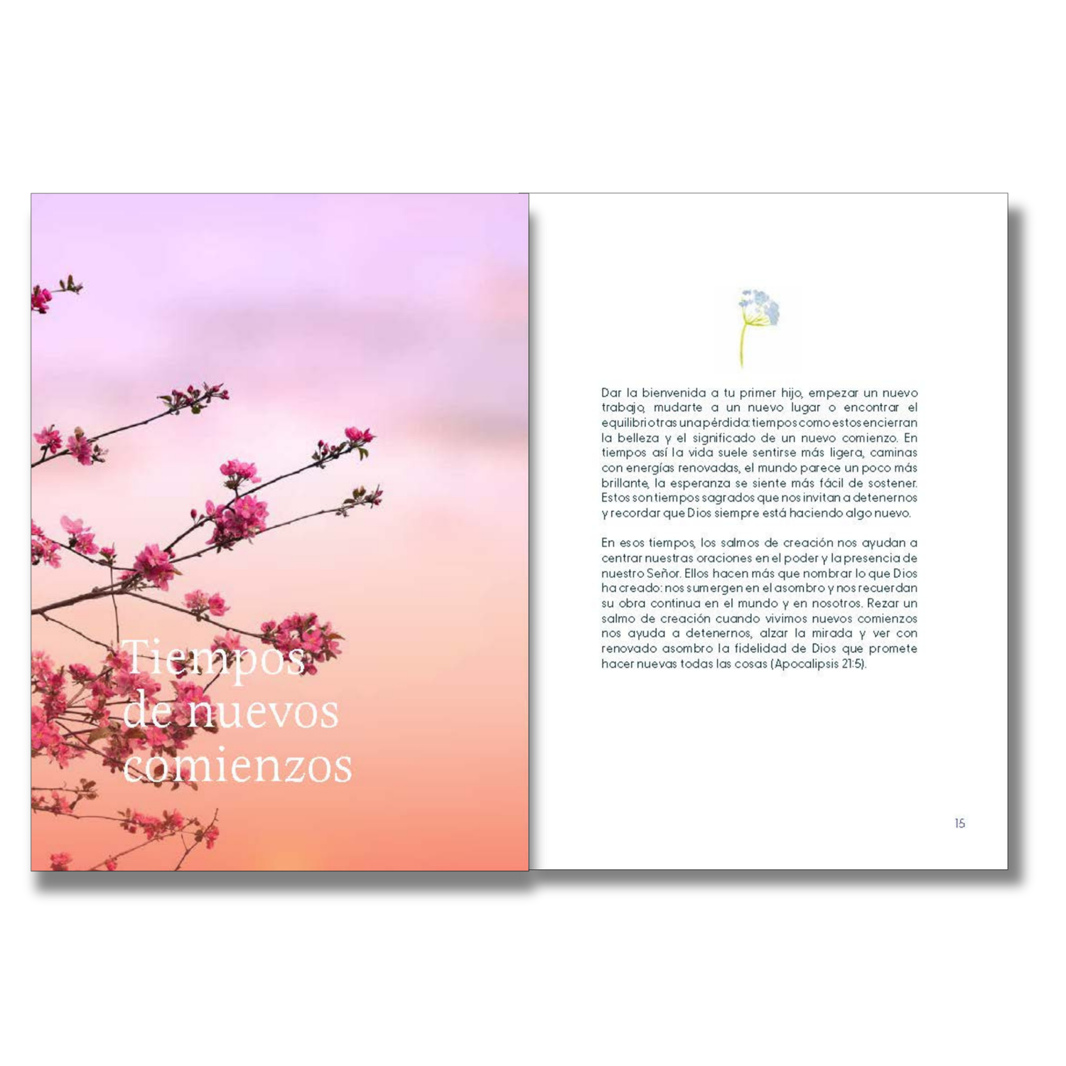 WRAPPED & READY® 64-Page SPANISH Devotion Book & Pen Gift Set - A Simple Amen Flowers