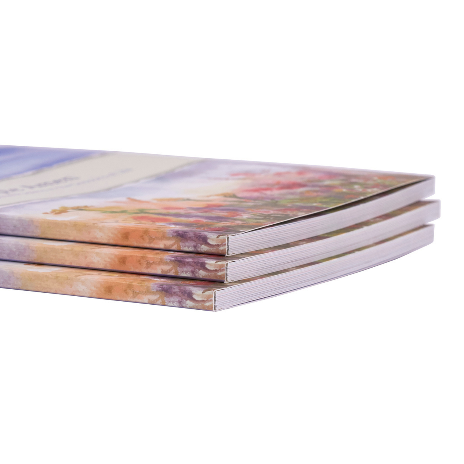 WRAPPED & READY® 64-Page SPANISH Devotion Book & Pen Gift Set - A Simple Amen Flowers