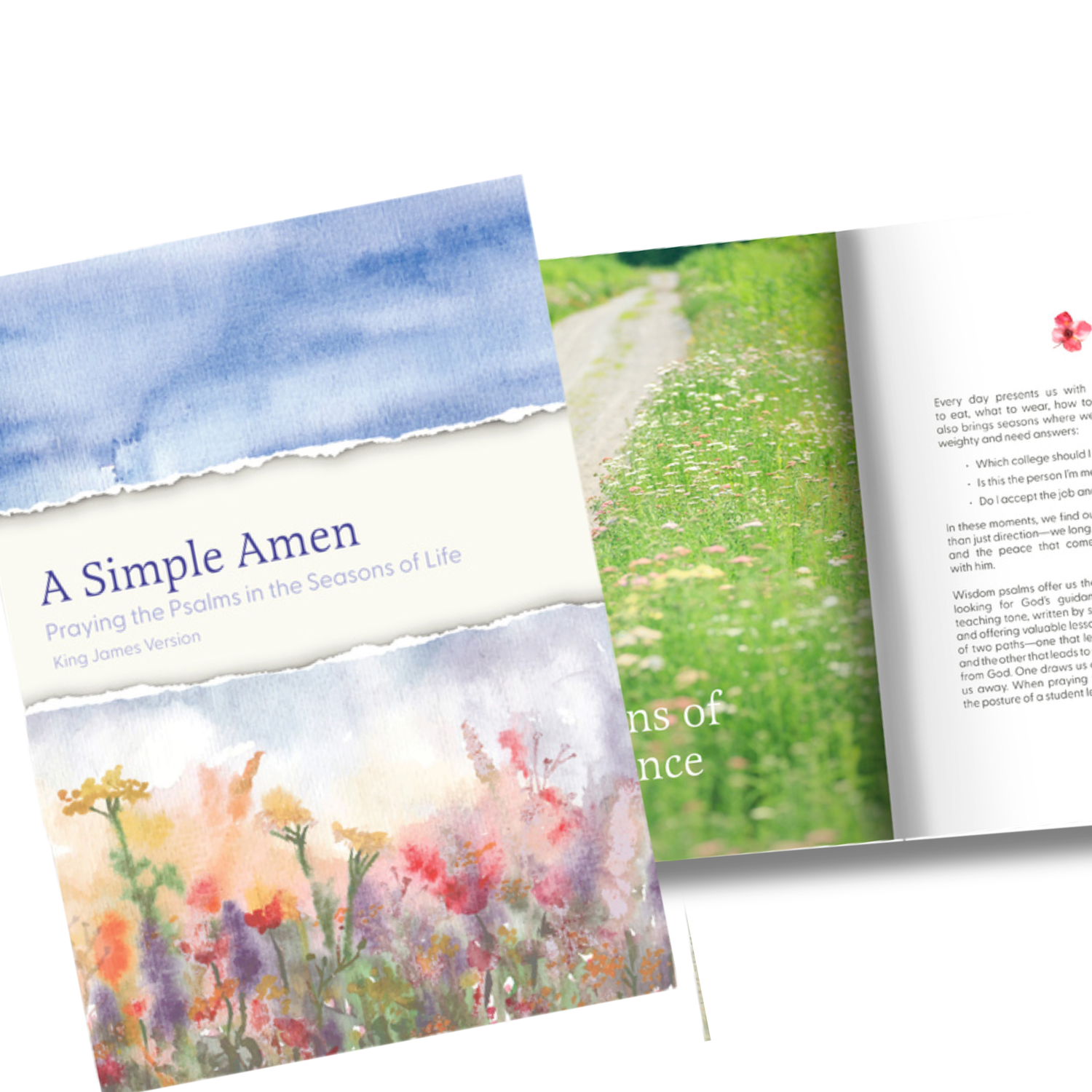 KJV Devotion Book - A Simple Amen: Praying the Psalms in the Seasons of Life
