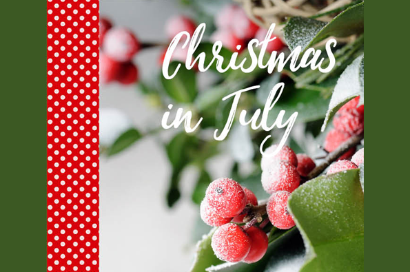 Christmas in July Sale from CTA, Inc