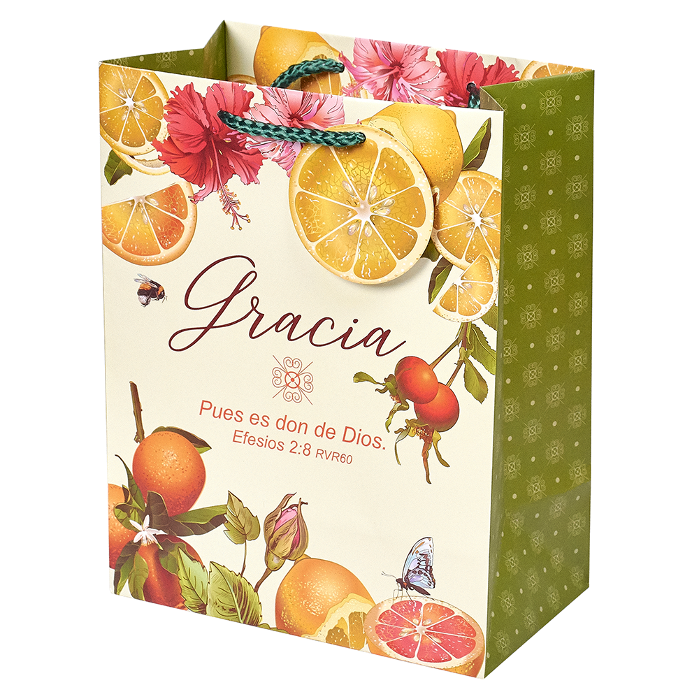 Spanish gift bag with tag and handle displays the words Gracia Pues es don de Dios 