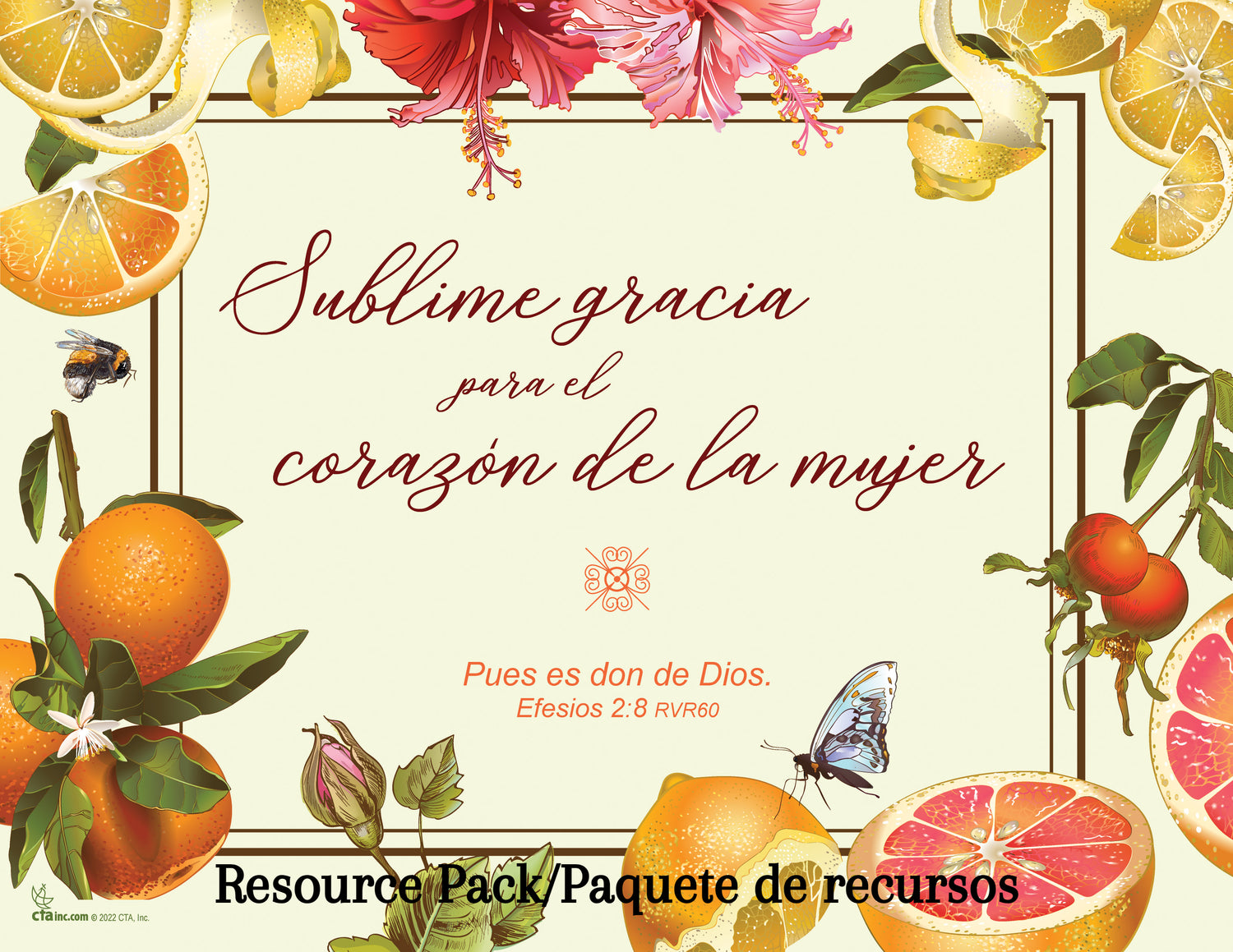 Spanish Resource Pack - Amazing Grace for a Woman's Heart