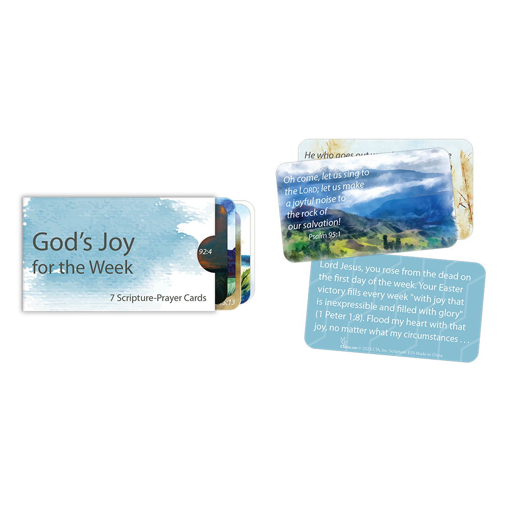 7 Scripture Prayer Cards in Sleeve - Joy for the Week