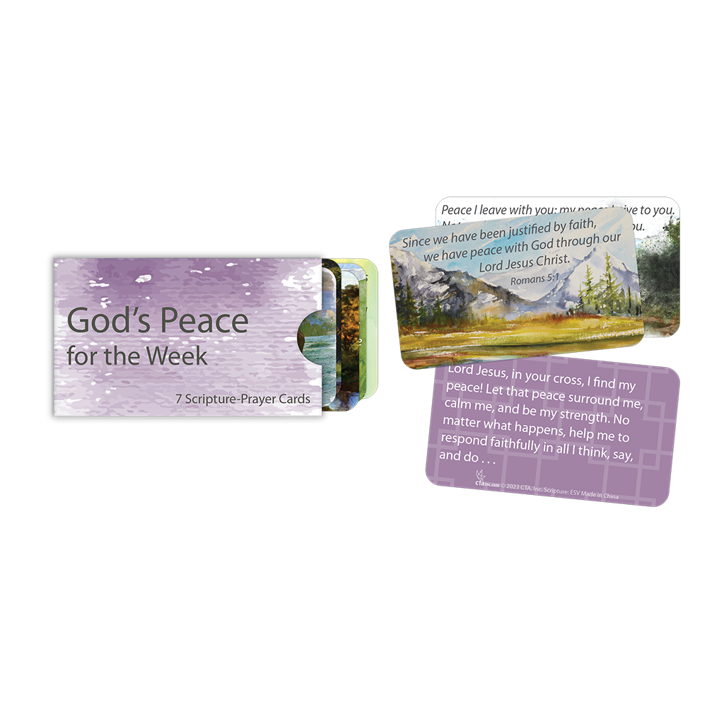7 Scripture Prayer Cards in Sleeve - God's Peace