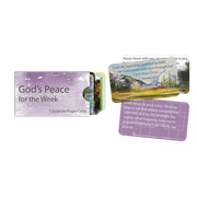 7 Scripture Prayer Cards in Sleeve - God's Peace