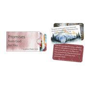 Promises from God for You Scripture Cards in Sleeve