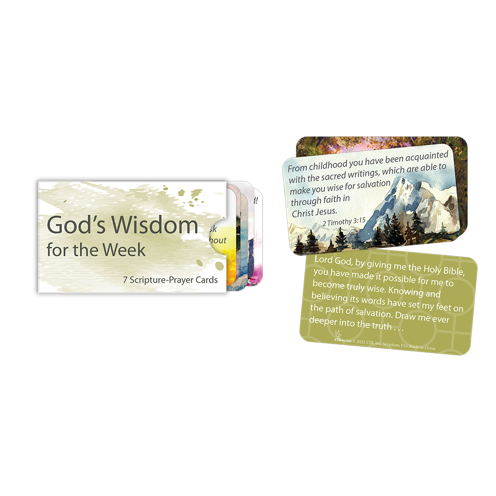7 Scripture Prayer Cards in Sleeve - God's Wisdom