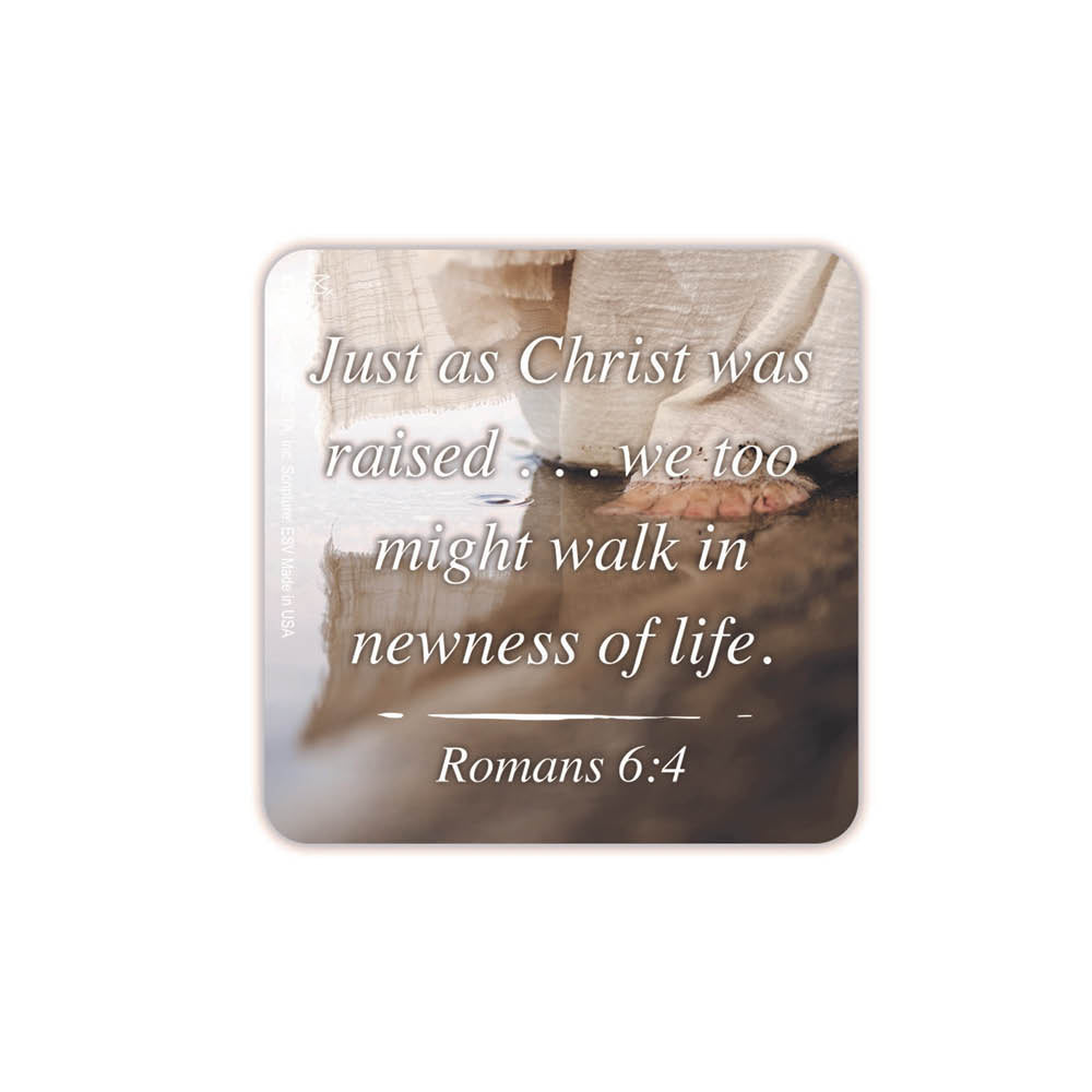 In His Steps magnet features Roman 6:4