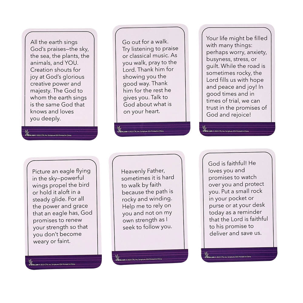 Pocket of Joy Scripture Cards - Joy in the Journey