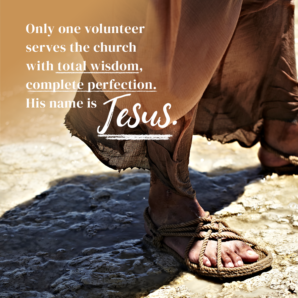 The Perfect Volunteer