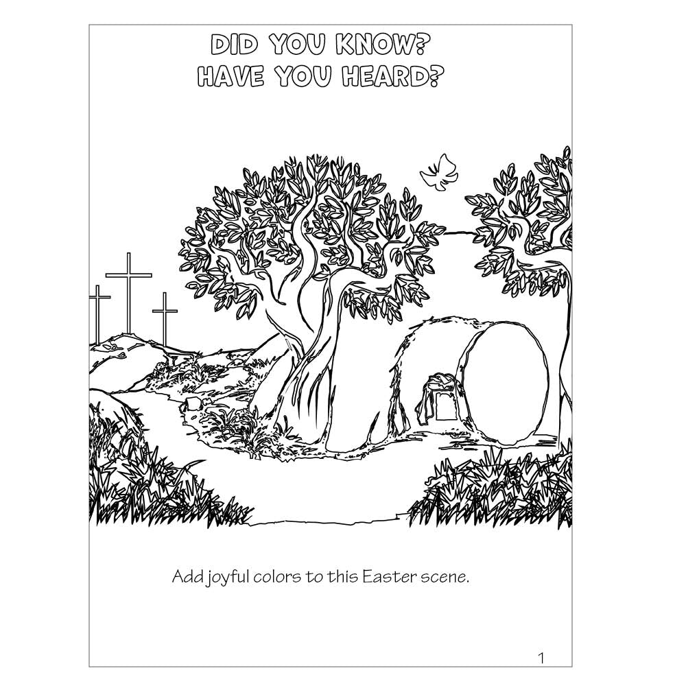 Activity Book - Run and Tell!