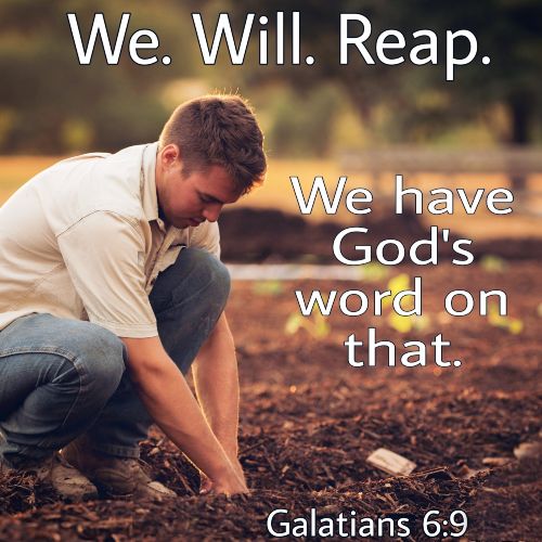 We. Will. Reap. We have God’s word on that.