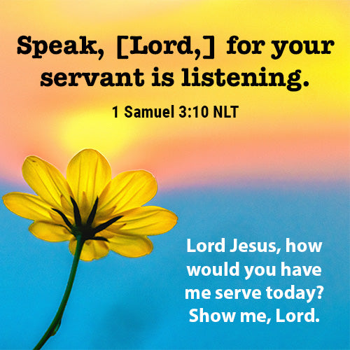 Show Me, Lord