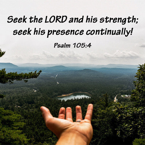 Seek the Lord