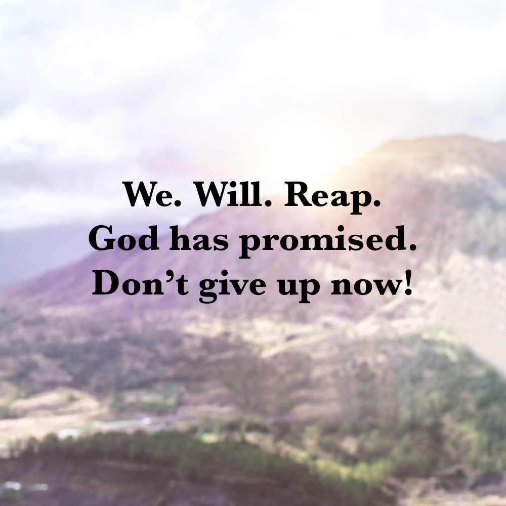 Don't Give Up!
