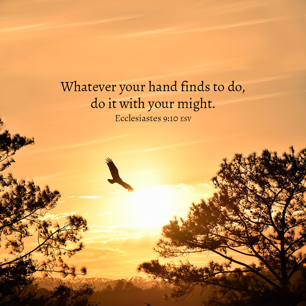 Give It Your All