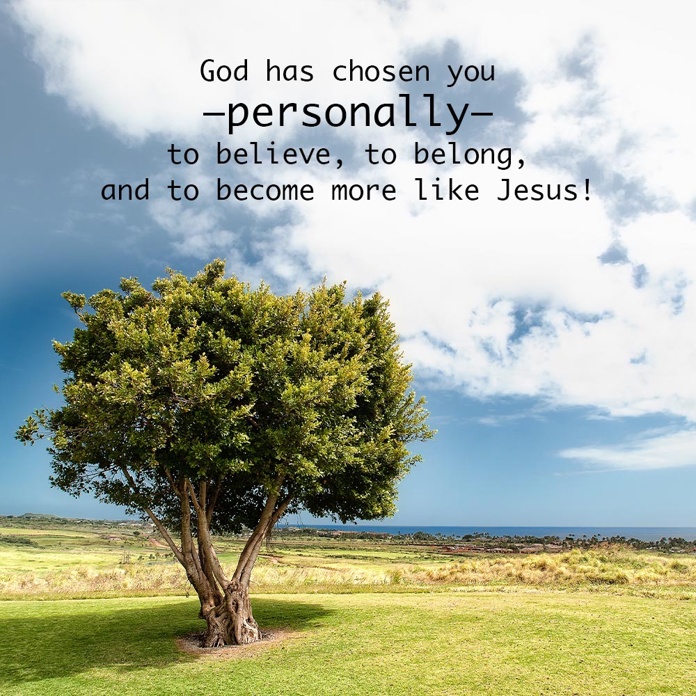 Chosen!